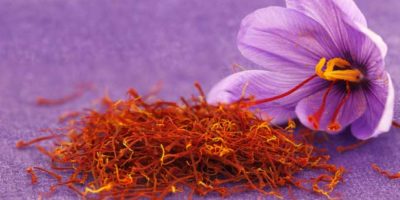 Dried saffron spice and Saffron flower